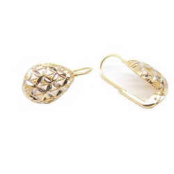 18 kt gold pvz earrings