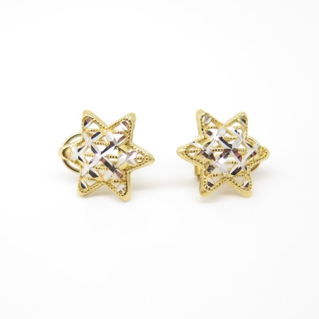 18 kt gold pvz earrings