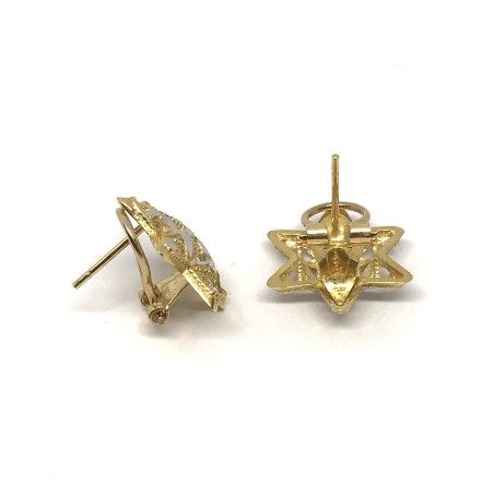 18 kt gold pvz earrings